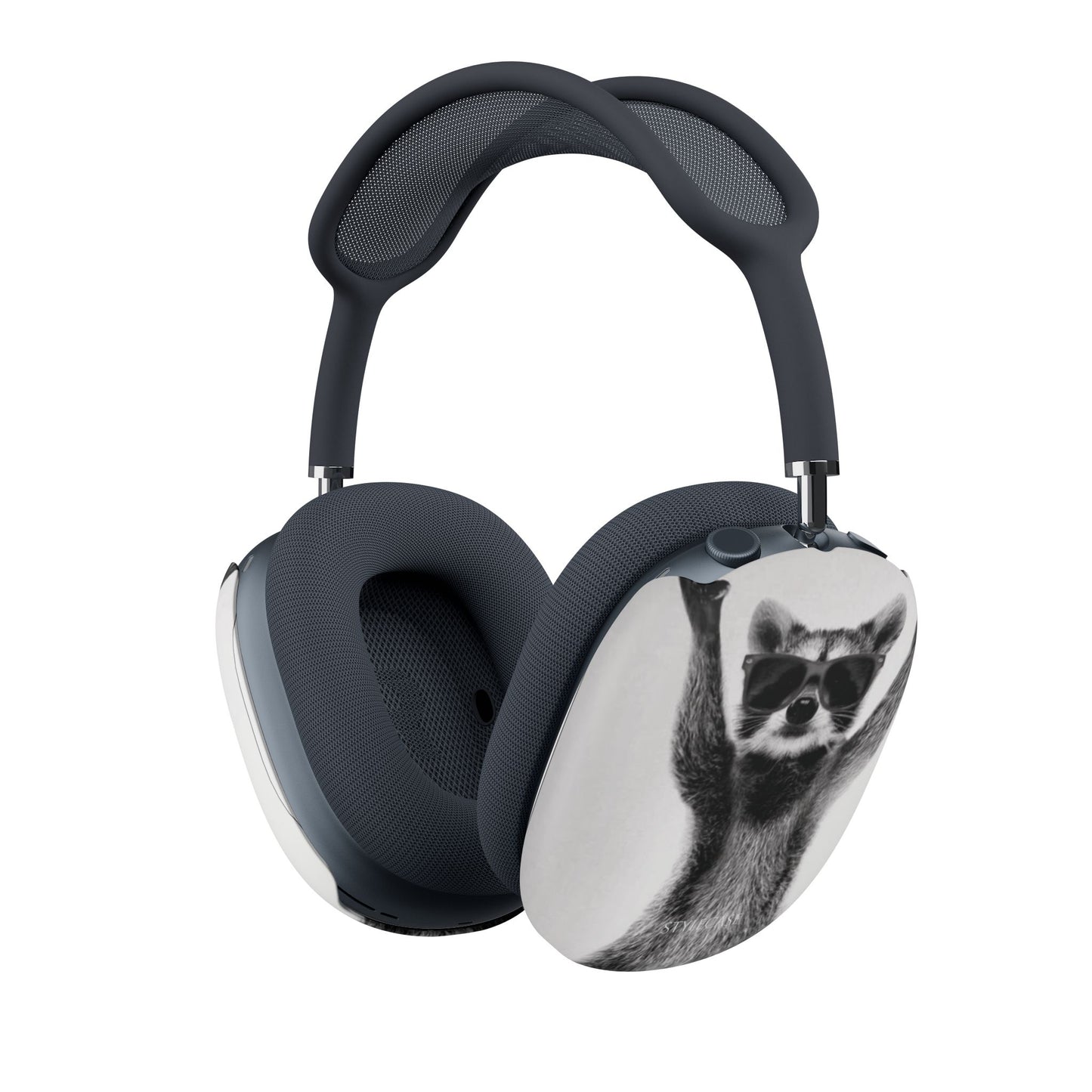 Raccoon AirPods Max Cases — Cute Retro Animal Headphone Case