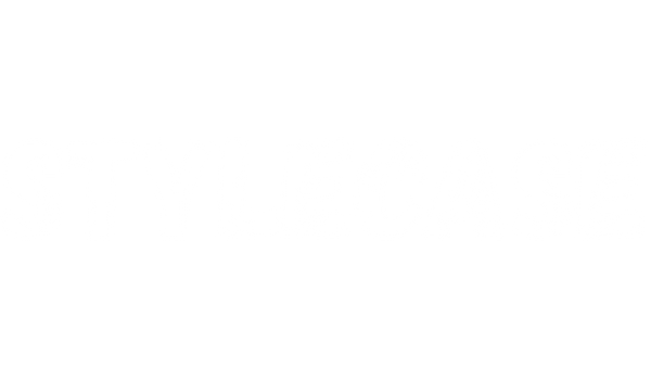 Stylecase